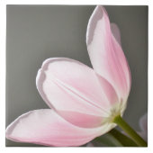 Carreau Belle tulipe (Devant)