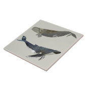 Carreau Belles baleines céramique Carrelage de cuisine (Côté)