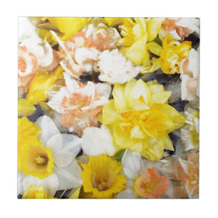 Carreau Belles daffodiles de printemps photo flottant sur