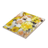 Carreau Belles daffodiles de printemps photo flottant sur  (Côté)