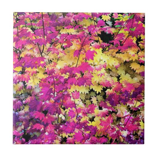 Carreau Belles feuilles automnales (Devant)