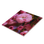 Carreau Belles fleurs de cerisiers rose printemps (Côté)