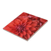Carreau Belles fleurs de dahlia rouge (Côté)