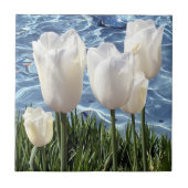 Carreau Belles tulipes blanches (Devant)