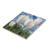 Carreau Belles tulipes blanches (Côté)