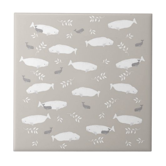 Carreau Béluga Sur Pastel Grey Illustration (Devant)