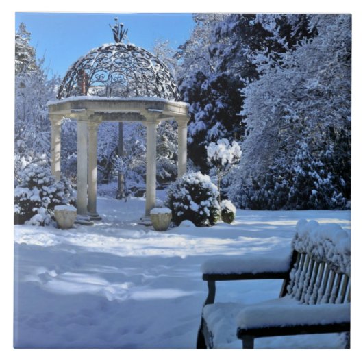 Carreau Belvédère dans la neige (Devant)
