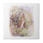 Carreau Benjamin Bunny (par Beatrix Potter) (Devant)