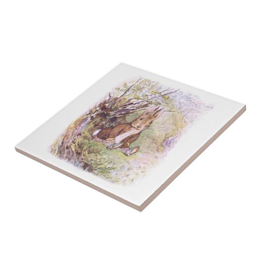 Carreau Benjamin Bunny (par Beatrix Potter) (Côté)