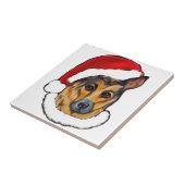 CARREAU BERGER ALLEMAND (Côté)