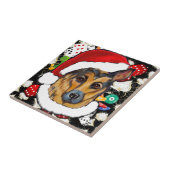 CARREAU BERGER ALLEMAND (Côté)