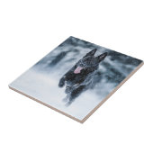 Carreau Berger allemand noir dans la couverture de duvet d (Côté)