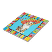 Carreau Berger américain miniature de fiesta (Côté)
