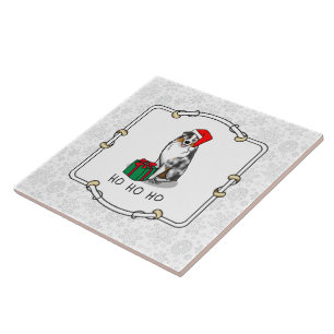 Carreau Berger australien de Noël (bleu merle tan/w 1)