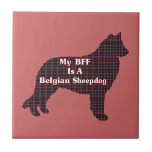 Carreau Berger belge BFF