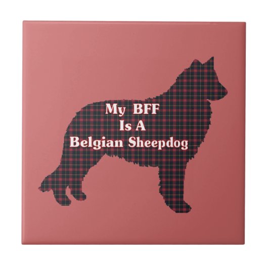Carreau Berger belge BFF (Devant)