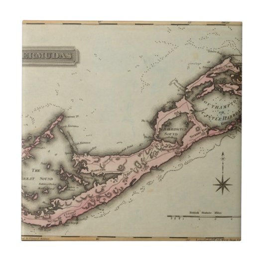 Carreau Bermudas (Devant)