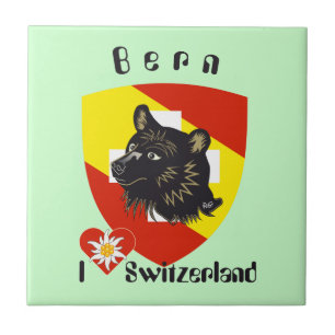 Carreau Berne Berna Suisse Suisse Fliese