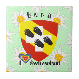 Carreau Berne Berne Berna Suisse Fliese