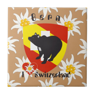 Carreau Berne Berne Berna Suisse Fliese