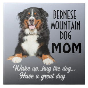 Carreau Bernese Mountain Dog Mom