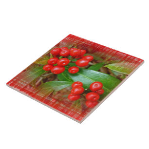 Carreau Berries à sucettes de miel sur tissu de coton