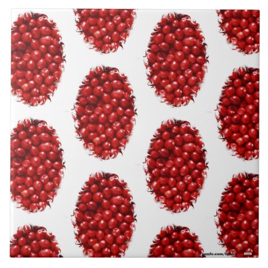 Carreau Berry (Devant)
