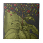 Carreau Besler Dramatique I<br><div class="desc">Floral</div>