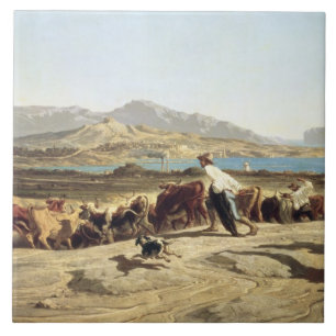 Carreau Bétail vivant en troupe près de Marseille, 1853