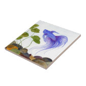 Carreau Betta fish (Côté)