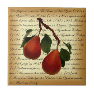 Carreau Beurré Clairgeau Pear ~ Ulysses Prentiss Hedrick ~