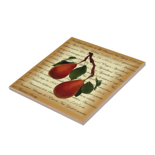 Carreau Beurré Clairgeau Pear ~ Ulysses Prentiss Hedrick ~ (Côté)