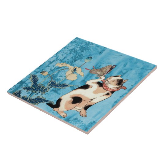 Carreau Beurre-papillon (Côté)