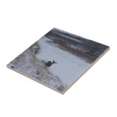 Carreau Biche de cerf mulet D16 dans River Valley (Côté)