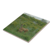 Carreau Biche et faon de cerf mulet D5 (Côté)