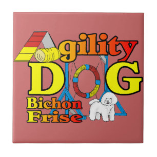Carreau Bichon Frise Agilité