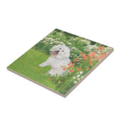 Carreau Bichon Frise Fantaisie Corail (Côté)
