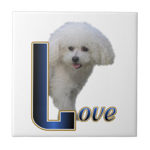Carreau Bichon Frise Love