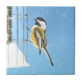 Carreau Bickadee sur la peinture d'alimentation - Oiseaux (Devant)