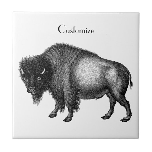 Carreau Big Bison Buffalo Thunder-Cove    (Devant)