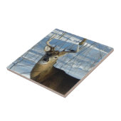 Carreau Big Buck Winter (Côté)