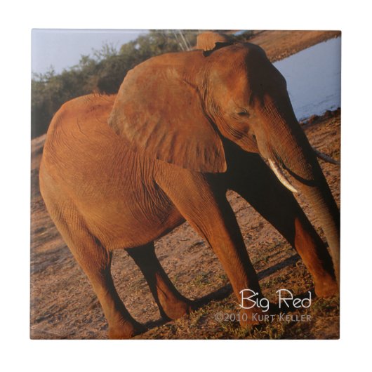 Carreau Big Red (Devant)