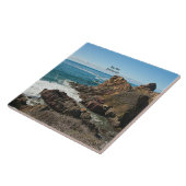 Carreau Big Sur, Calfornie, Étiqueté, (Côté)