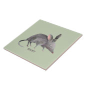 Carreau Bilby (Côté)