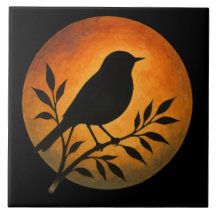 Bird Silhouette Over Full Moon