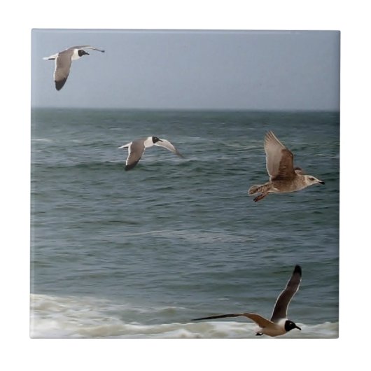 Carreau Birds in Flight by Shirley Taylor (Devant)