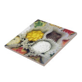Carreau Biscuits délicieux (Côté)