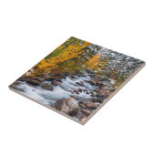 Carreau Bishop Creek, Californie (Côté)