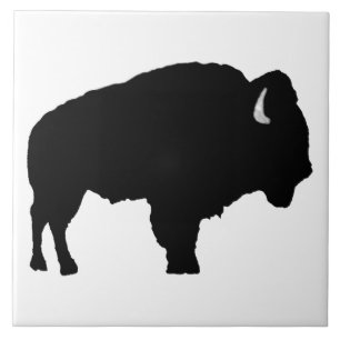 Carreau Bison américain