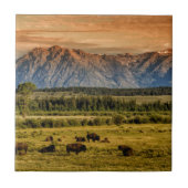 Carreau Bison au lever de soleil (Devant)